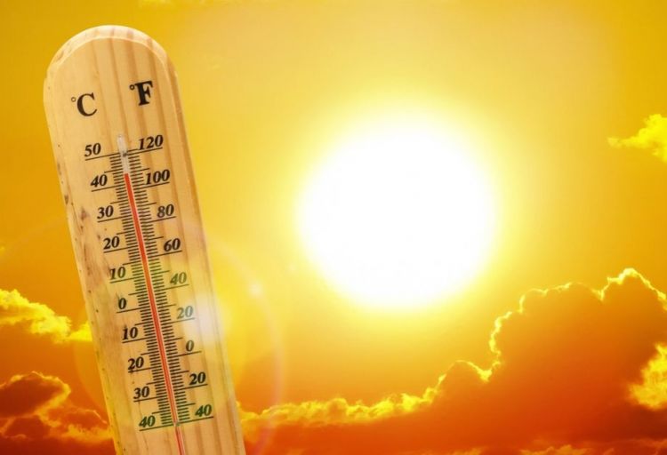 BMT: 2023-cü ilin iyulu dünya tarixində ən isti ay olacaq