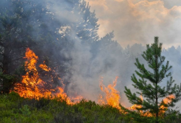 Bəzi bölgələrdə yanğın indeksi çox yüksəkdir