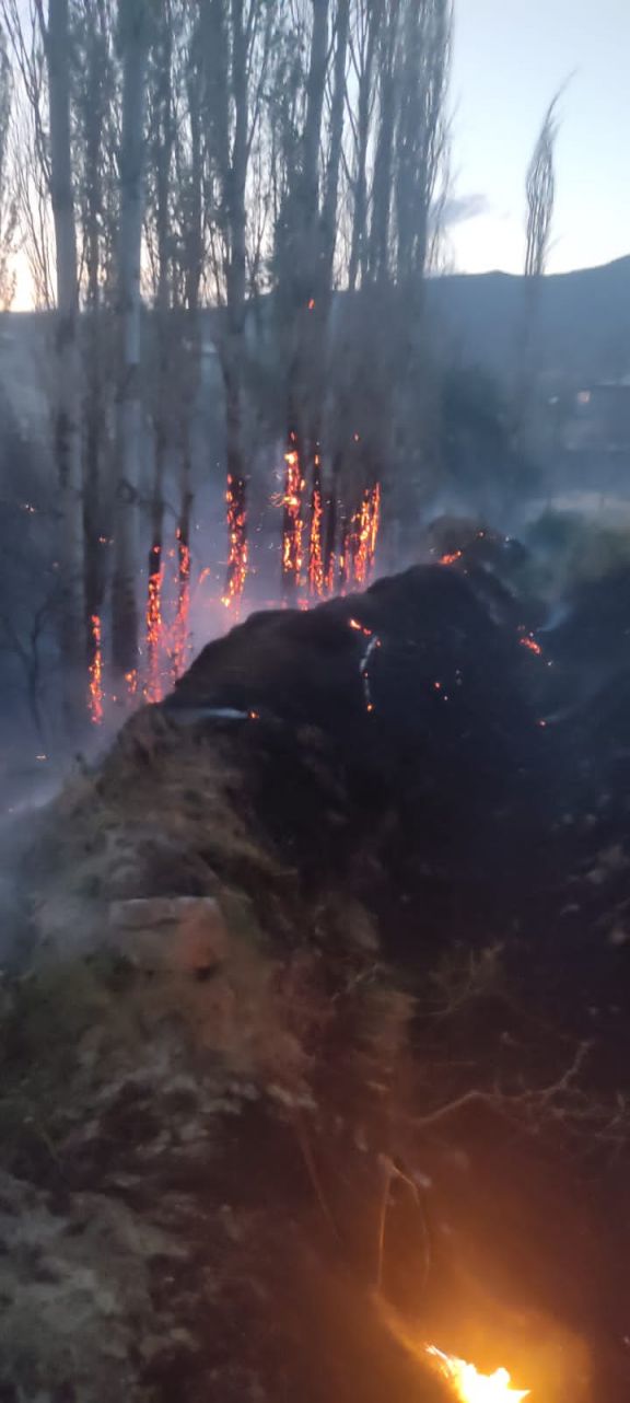 Şahbuz şəhərində baş verən yanğın söndürülüb