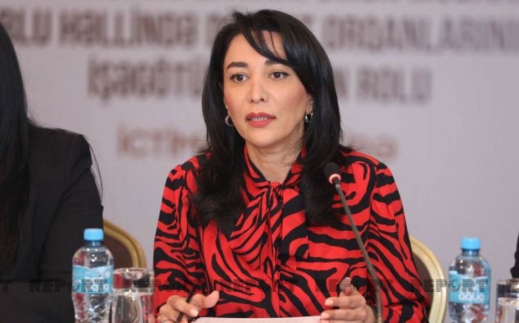 Ombudsman: "AŞ baş katibinin Xankəndi-Laçın yolu ilə bağlı həqiqətə əsaslanmayan son bəyanatı narahatlıq yaradır"