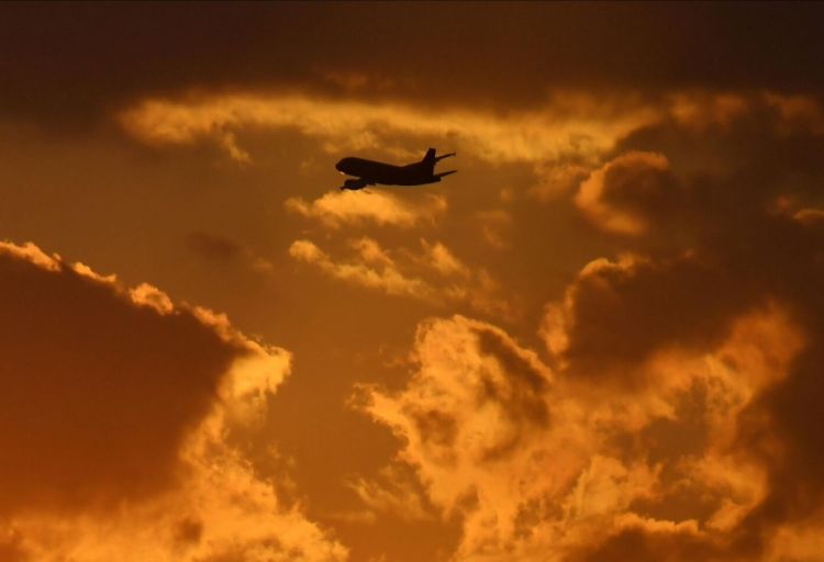 Yaponiyada qasırğa səbəbindən 260-dan çox aviareys təxirə salınıb