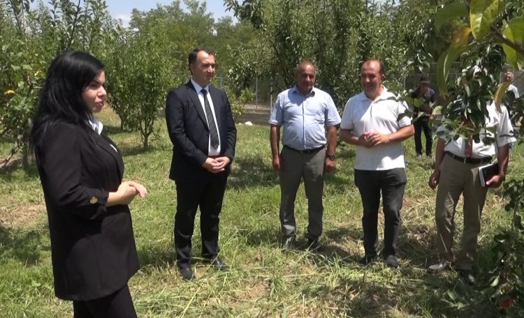 Naxçıvanda fitosanitar və epizootik monitorinqlər davam etdirilir<font color=red> - VİDEO</font>