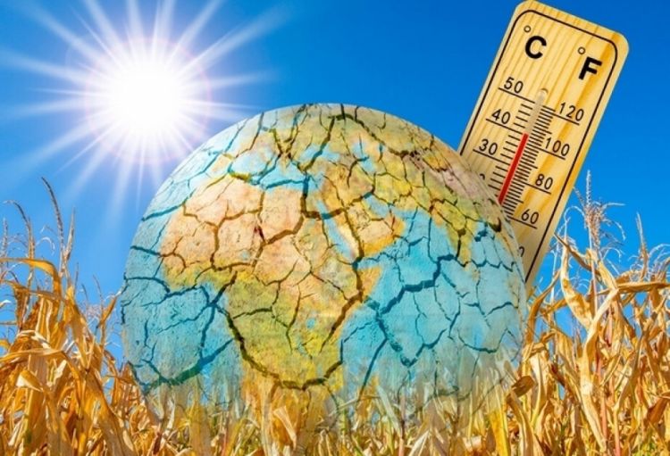 Ümumdünya Meteorologiya Təşkilatı: 2023-cü ilin iyul ayı son 120 min ildə ən isti ay olub