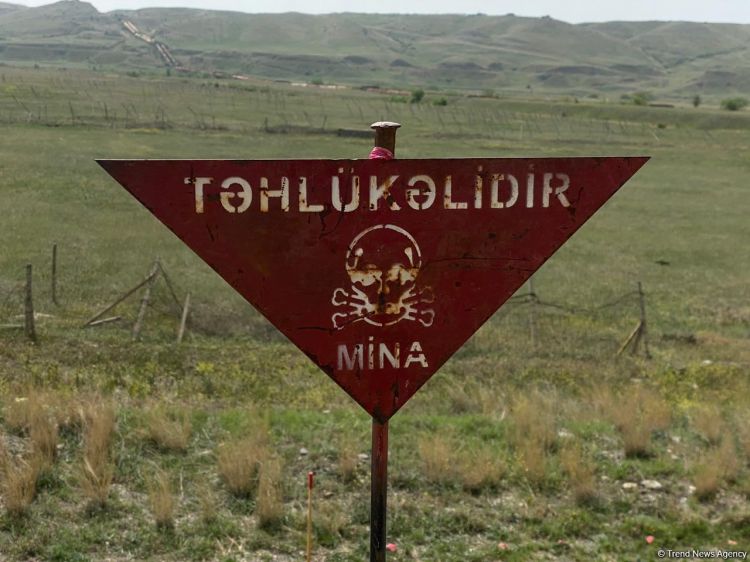 Azad edilmiş ərazilərdə daha 250 mina aşkarlanıb