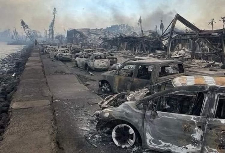 Havay adalarında meşə yanğınlarında ölənlərin sayı 99 nəfərə çatıb