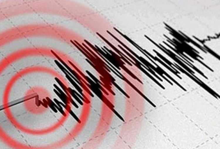  Seysmoaktiv bölgələr üçün proqnozlaşdırıla bilməyən zəlzələlərin olması xarakterikdir