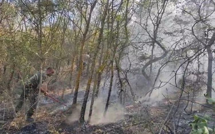 Şamaxıda 7 hektarlıq sahə yanır, yanğınsöndürmə işləri mürəkkəb şəraitdə həyata keçirilir
