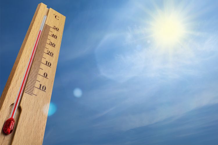 Bakıda 36, Naxçıvanda 40 dərəcə isti olub