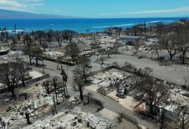 Maui adasında meşə yanğınlarının vurduğu zərər 6 milyard dollar dəyərində qiymətləndirilir