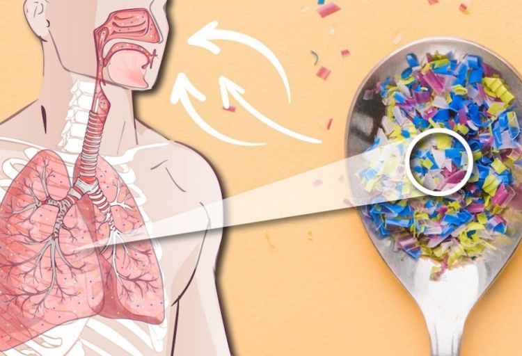 İnsanın tənəffüs yollarında yığılan mikroplastiklərlə bağlı araşdırma aparılıb