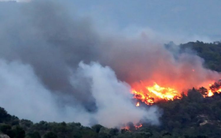 Meşə yanğını səbəbindən Elba adasından azı 700 nəfər təxliyə edilib