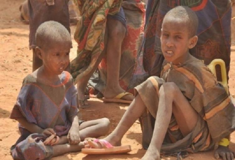 Niger humanitar fəlakət qarşısında