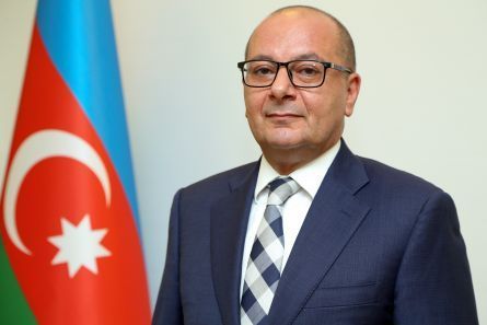 Azad olunmuş ərazilərin 95 min hektardan çoxu minadan təmizlənib