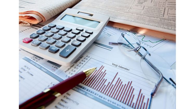 Naxçıvanda vergi ödəyicilərinin sayı 2,1 dəfə artıb