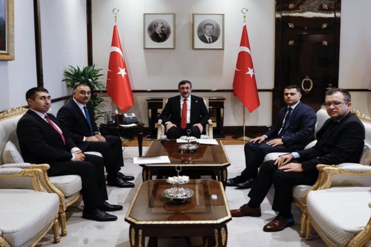 Azərbaycan səfiri Türkiyənin vitse-prezidenti ilə görüşüb