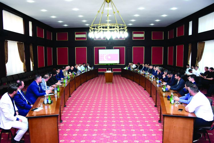 Naxçıvandakı filiz və qeyri-filiz yataqlarının  30-nun texniki qiymətləndirilməsi tamamlanıb