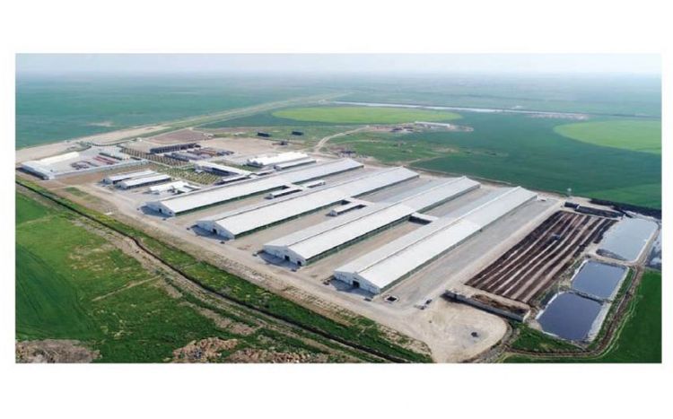 Naxçıvanda aqrar emal müəssisələri yaradılacaq