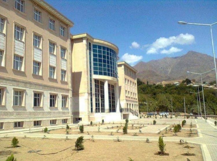 Ordubad Rayon Mərkəzi Xəstəxanasının baş həkimi işdən azad olunub