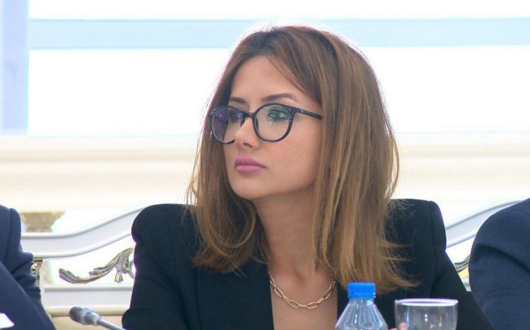 İcma sözçüsü: "Bəzi dairələri insan hüquqları deyil, siyasi dividendlər maraqlandırır"