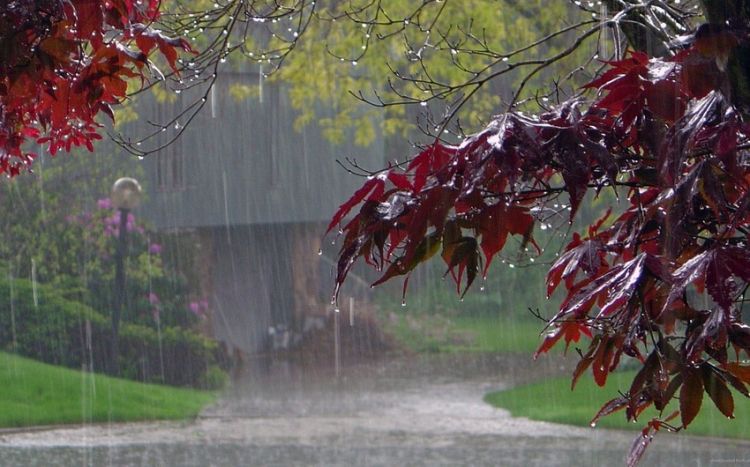 Bu gündən hava dəyişəcək, güclü külək əsəcək, dolu düşəcək<font color='red'> - XƏBƏRDARLIQ</font>
