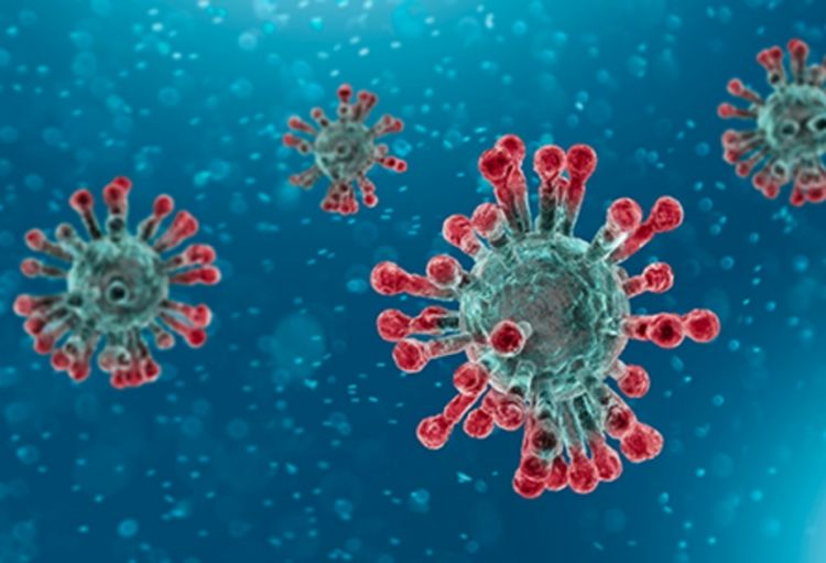 Rusiyalı virusoloq: Koronavirus ən azı daha bir neçə il xüsusi diqqət tələb edəcək