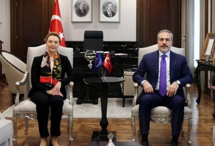 Avropa Şurasının Baş katibi Türkiyəyə səfər edib