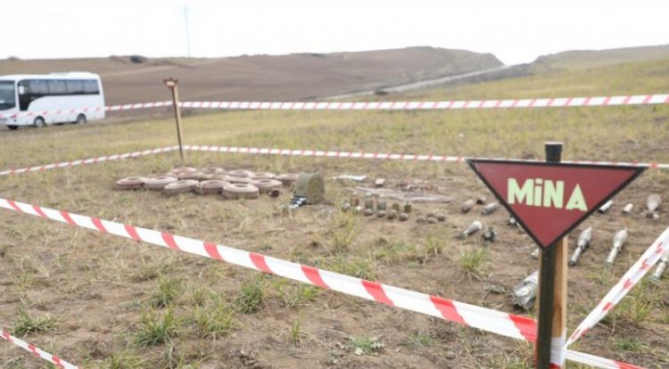 Azad edilmiş ərazilərdə ötən həftə aşkarlanan minaların sayı açıqlanıb