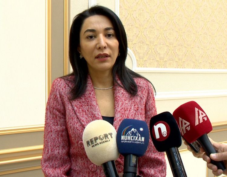 Ombudsman: "Erməni terroru ilə bağlı beynəlxalq qurumlara 18 hesabat göndərmişik, lakin reaksiya yoxdur"