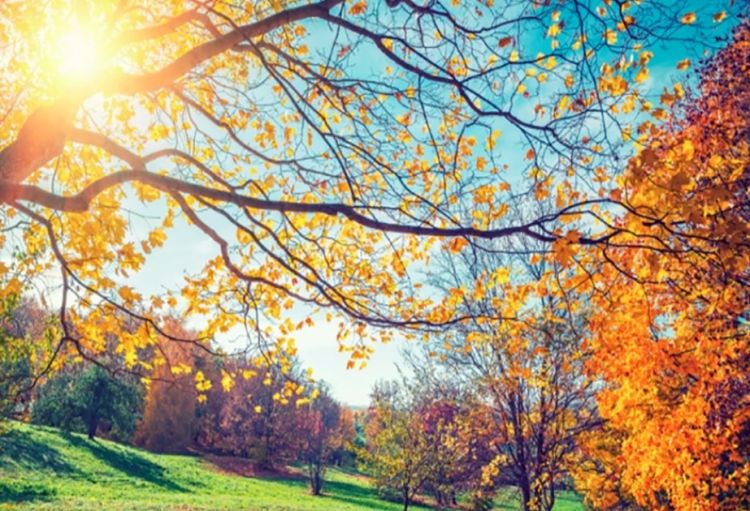 Naxçıvanda sabaha olan hava proqnozu