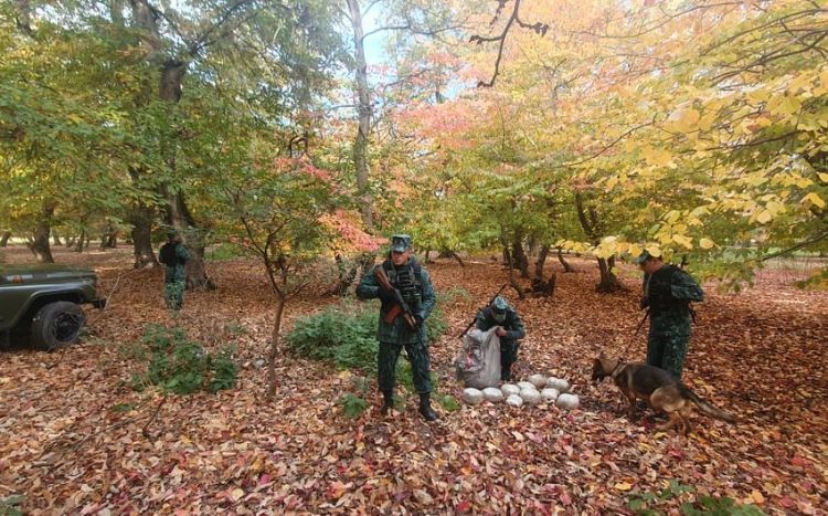 İrandan Azərbaycana 19 kiloqrama yaxın narkotik keçirilməsinin qarşısı alınıb<font color=red> - FOTOLAR</font>