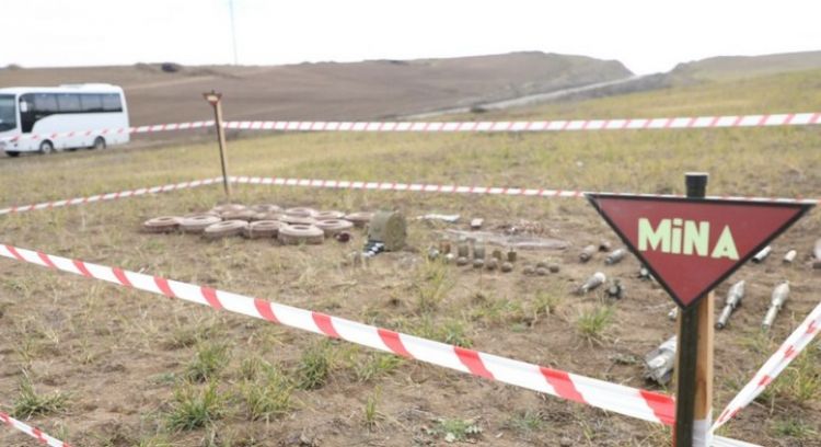Müdafiə Nazirliyi: "Növbəti ildə azad edilmiş ərazilərin minalardan təmizlənməsi davam edəcək"