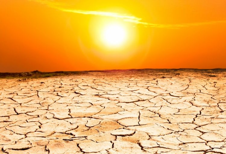 Yer kürəsində karbon qazının səviyyəsi 14 milyon il bundan əvvəlki göstəriciyə çatıb