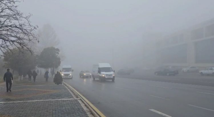Naxçıvan Muxtar Respublikası Daxili İşlər Nazirliyinin Dövlət Yol Polisi İdarəsi sürücülərə xəbərdarlıq edib
