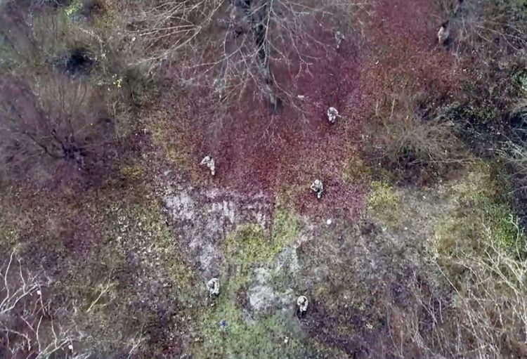 Müdafiə Nazirliyi həftəlik icmalı təqdim edib<font color=red> - VİDEO</font>
