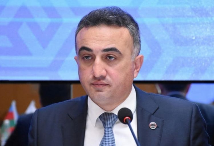 Anar Bağırov: “Zaur Məmmədovun Vəkillər Kollegiyası ilə hər hansı problemi olmayıb”