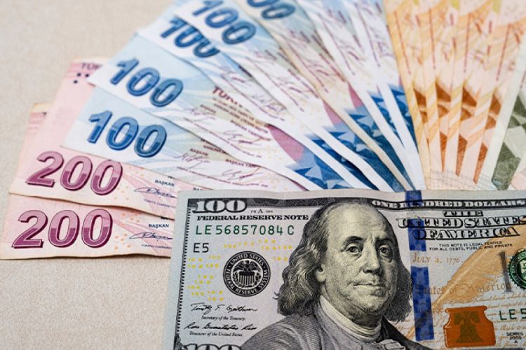 Türkiyədə dolların məzənnəsi ilk dəfə 30 TL-ni ötüb