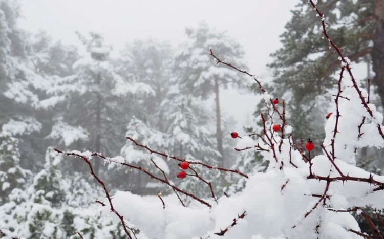 Havanın temperaturu 5-10 dərəcə enəcək, yağış, qar yağacaq, güclü külək əsəcək<font color='red'> - XƏBƏRDARLIQ</font>
