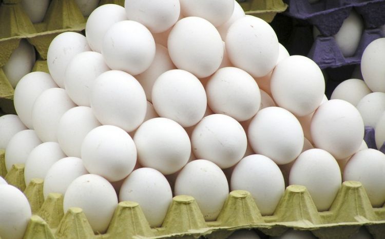 Azərbaycandan Rusiyaya yumurta tədarükü 4,2 milyon ədədə çatıb