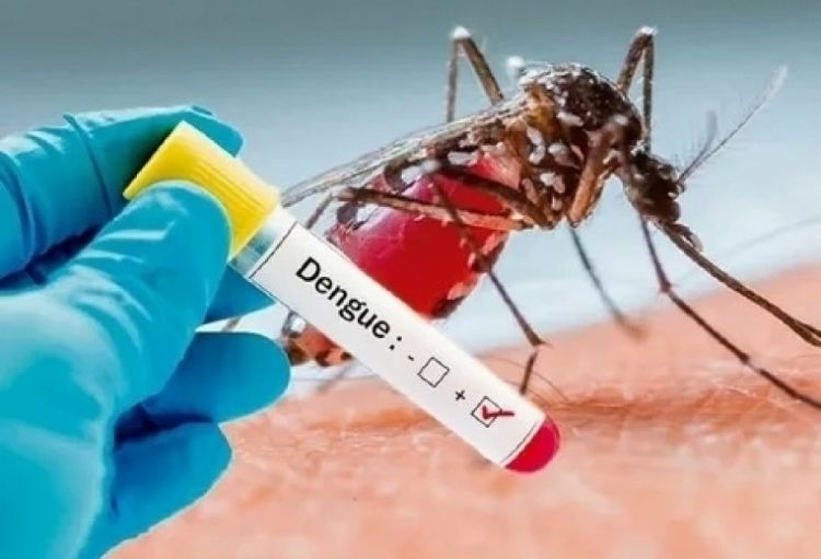 Peruda denge qızdırmasına 6 mindən çox yoluxma halı qeydə alınıb