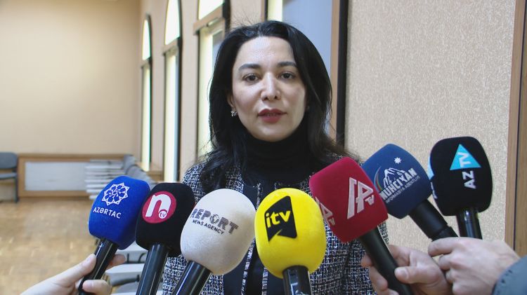 Səbinə Əliyeva: "Ombudsman Aparatı ilk dəfə Naxçıvanda seçkini müşahidə edəcək"