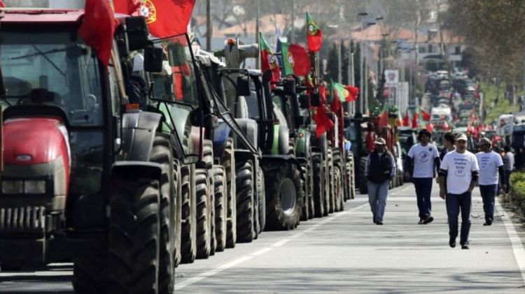 Portuqaliya fermerlərə dəstək üçün 204 milyon avro ayırıb