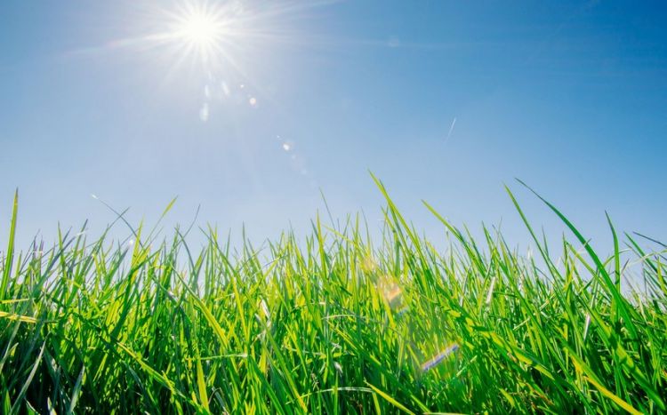 Naxçıvanda may ayının hava proqnozu açıqlanıb