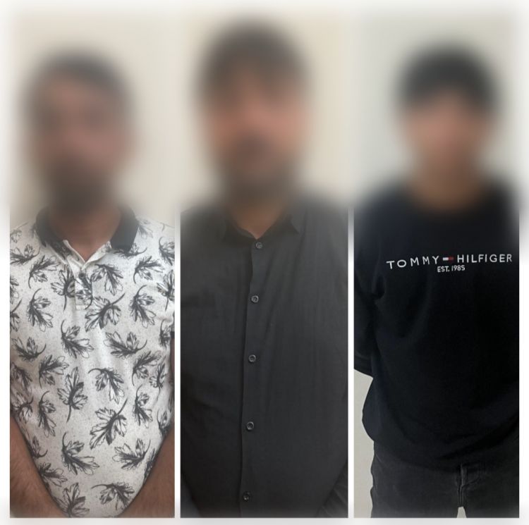 Naxçıvanda heyvanlarla rəhmsiz rəftar edən şəxslər müəyyən edilib