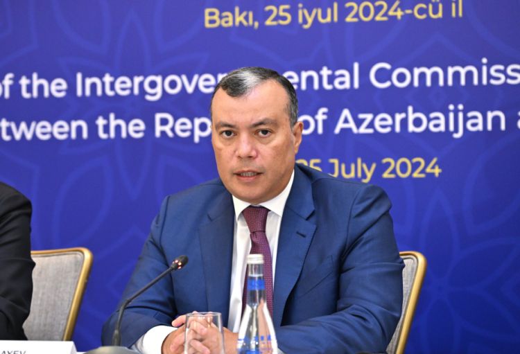 Nazir: Azərbaycanın yaşıl enerjisinin Serbiyaya ixracı planlaşdırılır