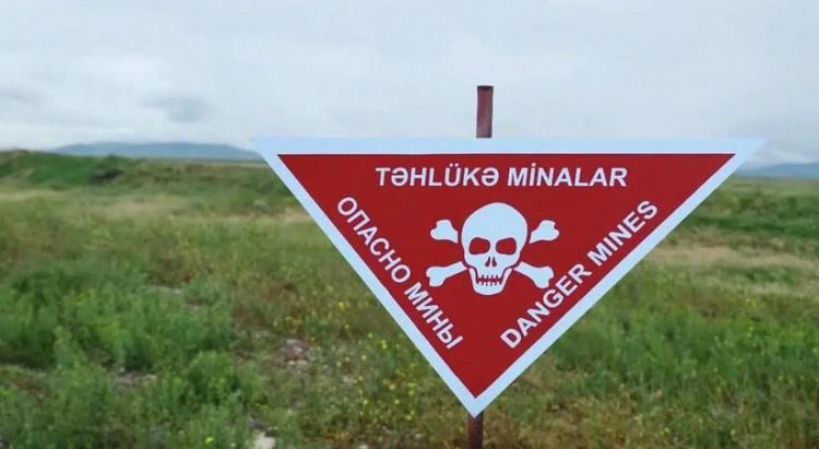 Ötən ay azad edilmiş ərazilərdə 767 mina zərərsizləşdirilib