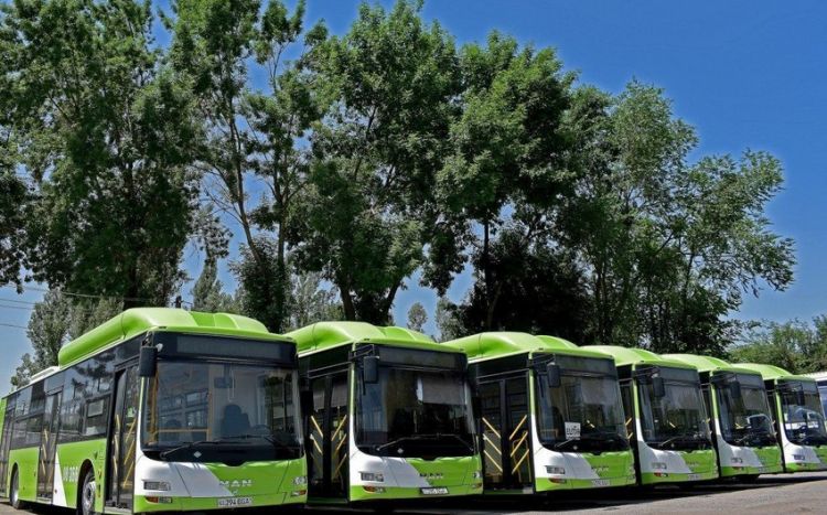 COP29 üçün avtobus parkının 50 %-i "Yaşıl avtobus"larla təchiz olunub