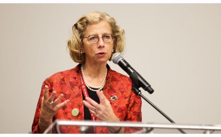 BMT Proqramının icraçı direktoru dünya ictimaiyyətini COP29-da qəbul olunacaq qərarlara diqqət yetirməyə çağırıb