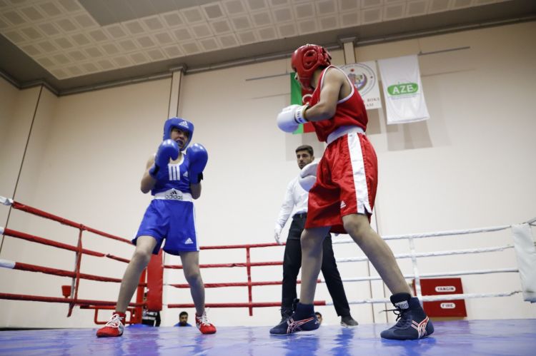 Naxçıvanda 100 illik yubileyə həsr olunmuş boks birinciliyi keçirilir<font color=red> - FOTOLAR</font>