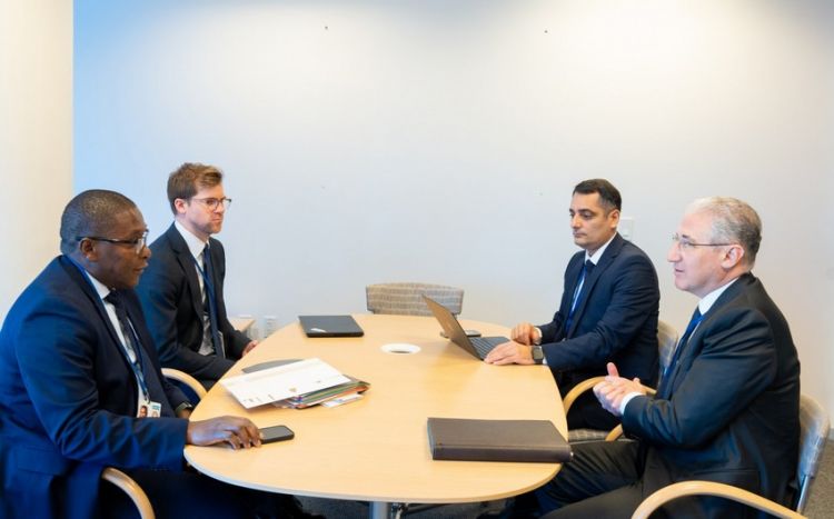 COP29 prezidenti BMT baş katibinin müşaviri ilə iqlim təşəbbüslərini müzakirə edib