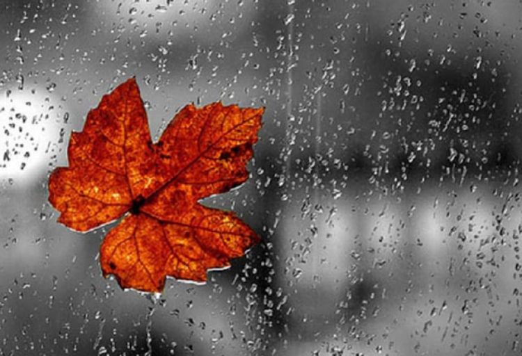 Günün birinci yarısında Bakıya və Abşeron yarımadasına düşən yağıntı aylıq normanın 30 faizini təşkil edib